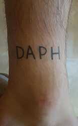 daph tat