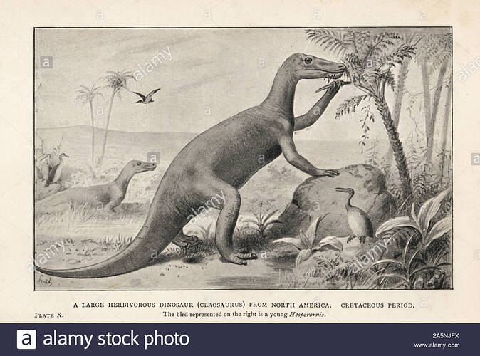 a-large-herbivorous-dinosaur-claosaurus-from-north-america-cretaceuous-period-the-bird-on-the-right-is-a-young-hesperornis-regalis-print-after-an-illustration-by-joseph-smit-from-henry-neville-hutchinsons-creatures-