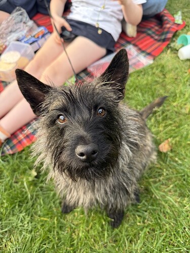 1B1E5CA6-70C5-455D-BEB8-61BE07985070_1_105_c