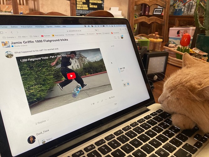 Photo 28.08.25 16 34 51