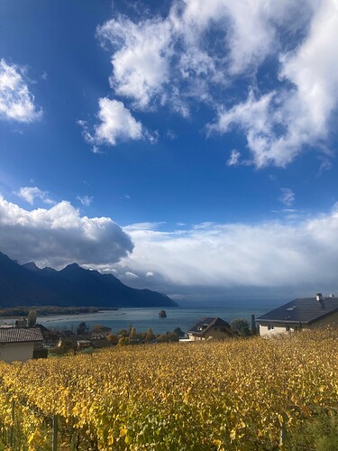 Photo 23.10.25 14 41 04